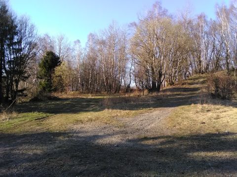 Foto 63